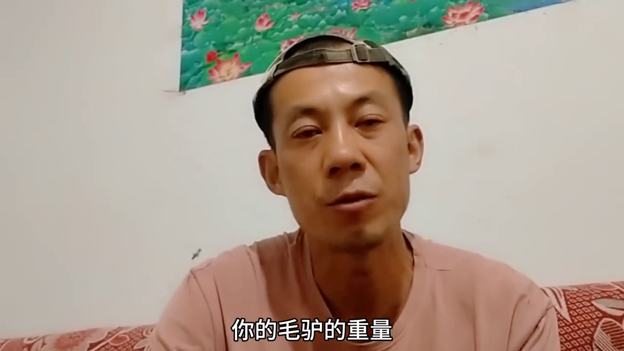 视频致富经_农业节目致富经养殖视频_家庭养殖业致富视频下载