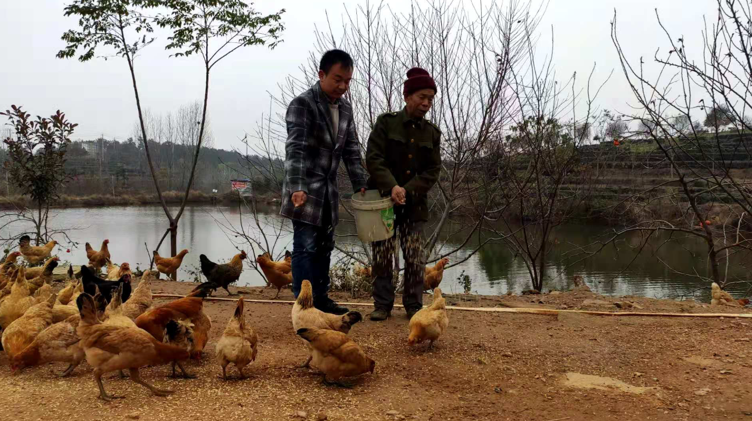致富养殖能手小说阅读_养殖致富能手事迹_致富养殖小能手