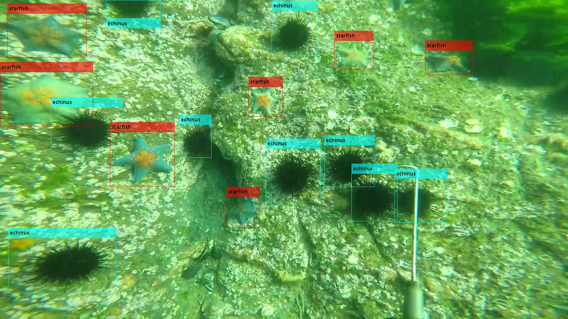 水下光学目标检测智能算法赛项