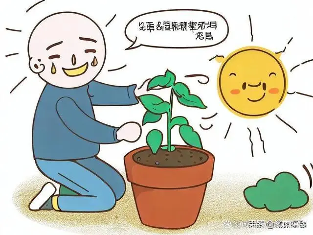 教你种植九层塔的方法和时间