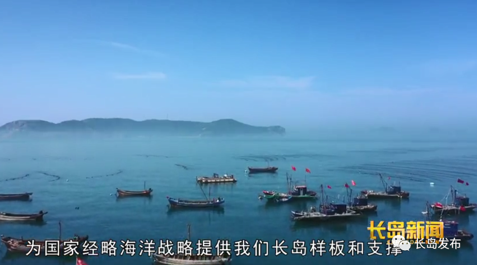 致富经网箱养鱼视频_视频致富养鱼网箱下载_养鱼视频致富经