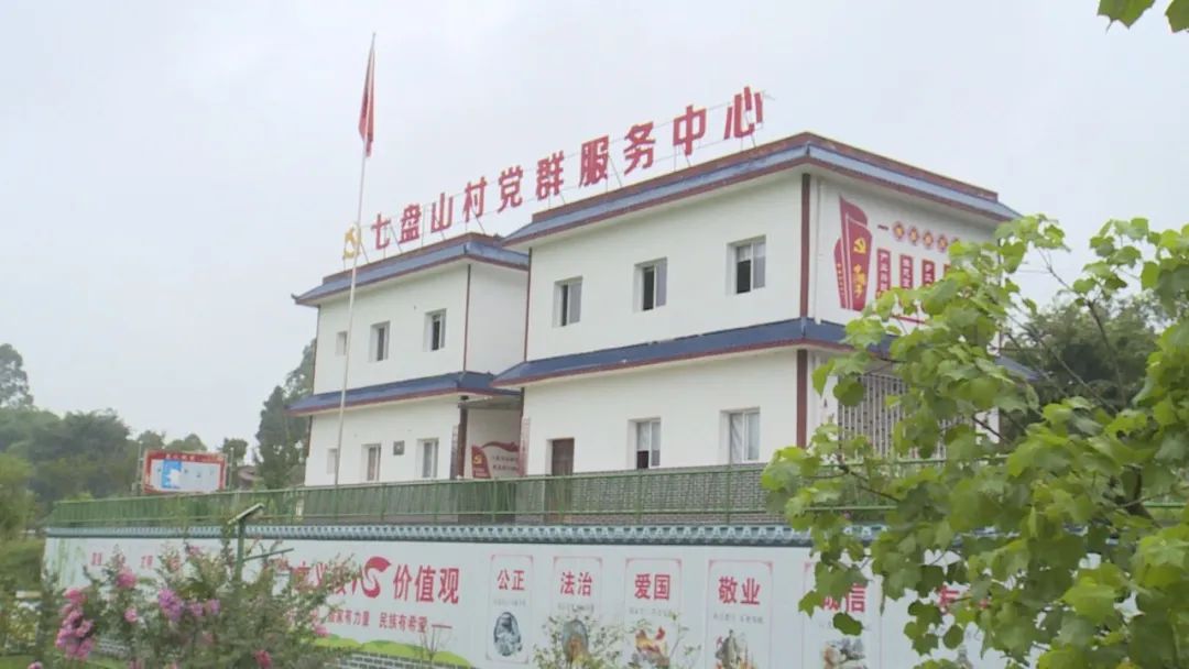 种植致富路_致富种植视频全集_致富经农村种植
