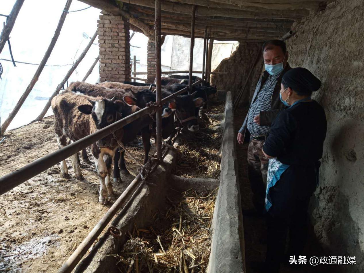 致富养殖能手小说全文_致富养殖小能手_养殖致富能手事迹