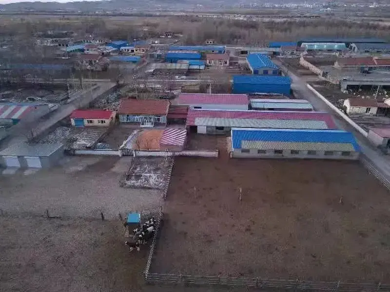 致富养殖小能手_致富养殖能手小说_致富养殖能手小说全文