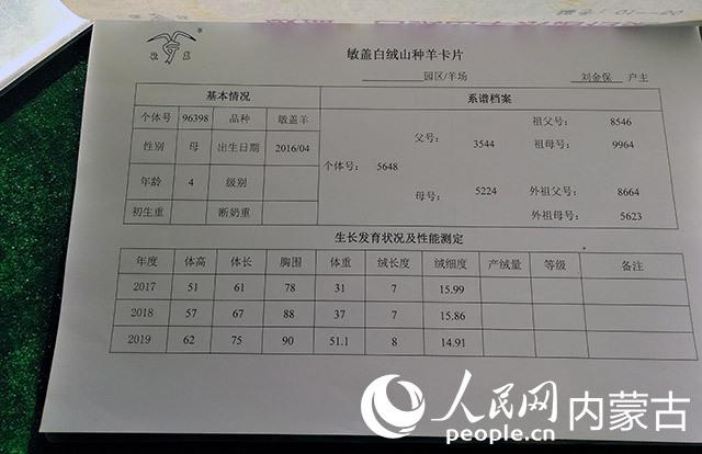 致富经山羊养殖技术视频_致富山羊养殖黄牛视频_黄山羊养殖致富