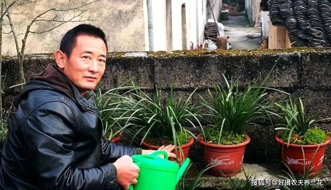 北方养兰花秘籍_兰花的北方的养殖技术_兰花养殖北方技术与管理