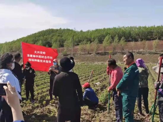 【榜样的力量】致富带头人丨增收不忘众乡邻——记白桦乡加南村创业致富带头人李伟