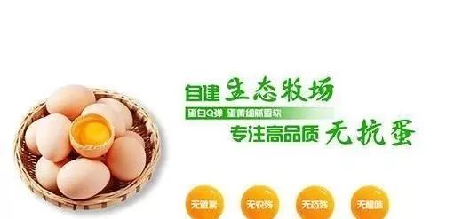 致富新项目养鸡_农村致富网养殖业养鸡_致富经养殖鸡视频