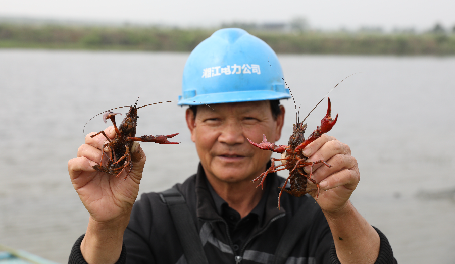 致富经养虾_致富经河虾养殖_养殖致富虾