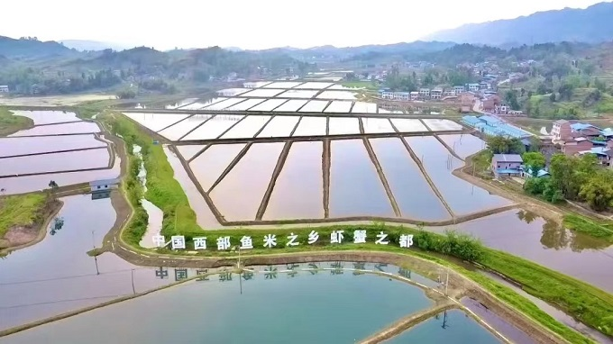 养殖致富虾_致富经养虾_致富经养殖虾