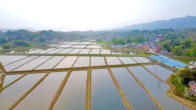 致富经养虾_致富经养殖虾_养殖致富虾
