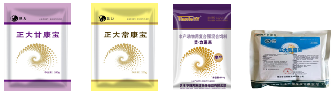 叉尾养殖视频教程_叉尾的养殖技术_叉尾鮰密集养殖技术