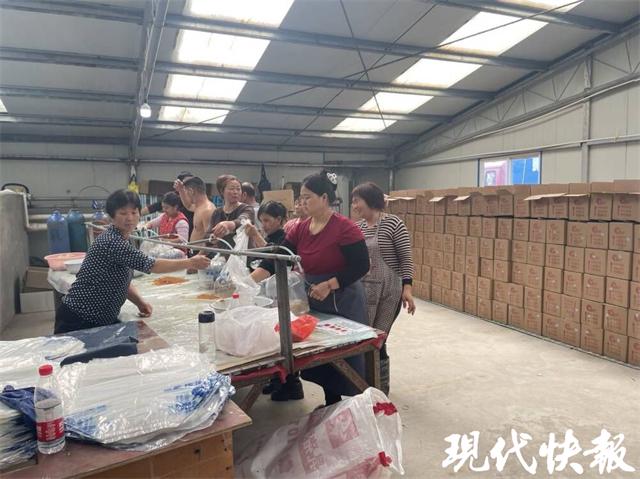 养殖致富虾_致富经室内养虾视频_致富经养虾