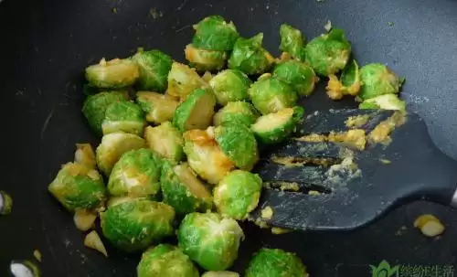 阳台种植菠菜施什么肥料好_阳台菠菜种植技术和时间_波菜阳台种植技术