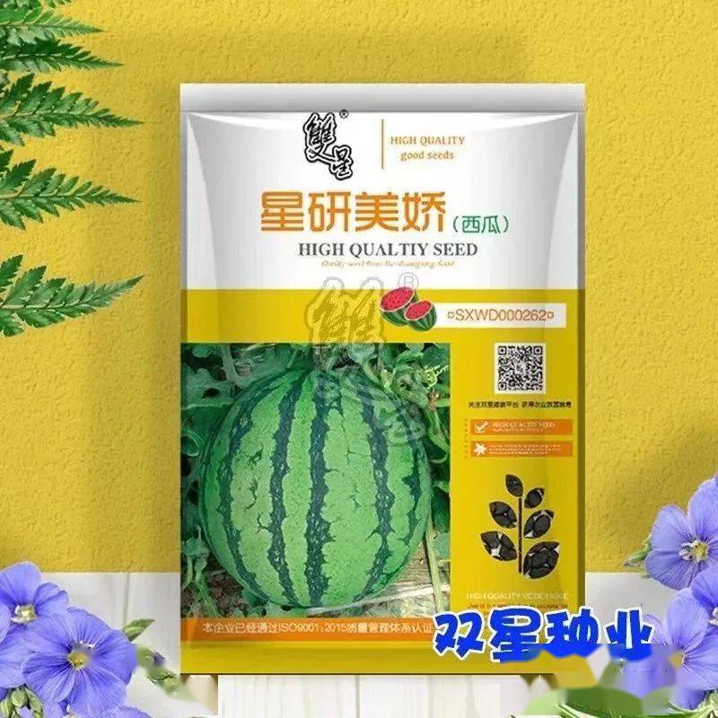 甜瓜露地种植技术与管理_甜瓜露地种植技术视频_露天甜瓜种植技术视频