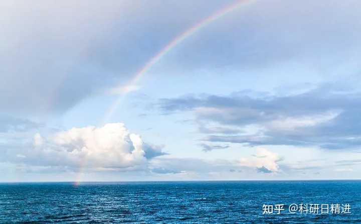 乌贼鱼养殖技术视频_视频养殖乌贼鱼技术教程_乌贼养殖视频播放