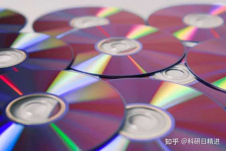 乌贼鱼养殖技术视频_视频养殖乌贼鱼技术教程_乌贼养殖视频播放