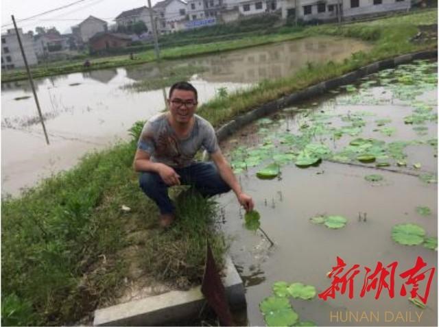 致富经莲藕种植视频_致富种植莲藕人群图片_种植莲藕致富人
