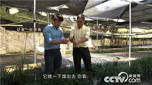 致富养殖农村有补贴吗_致富经农村养殖_2020农村养殖致富门路