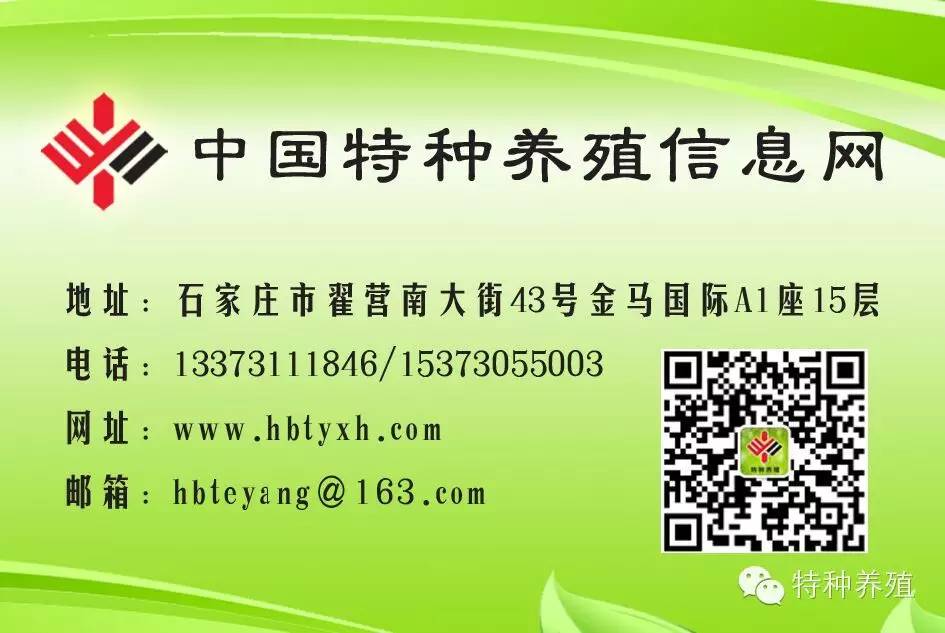 蓝孔雀养殖前景_蓝孔雀养殖视频_养殖蓝孔雀技术