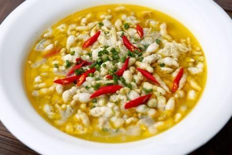 致富豆虫养殖青菜怎么样_豆青虫养殖致富_养殖豆青虫一年能赚多少钱