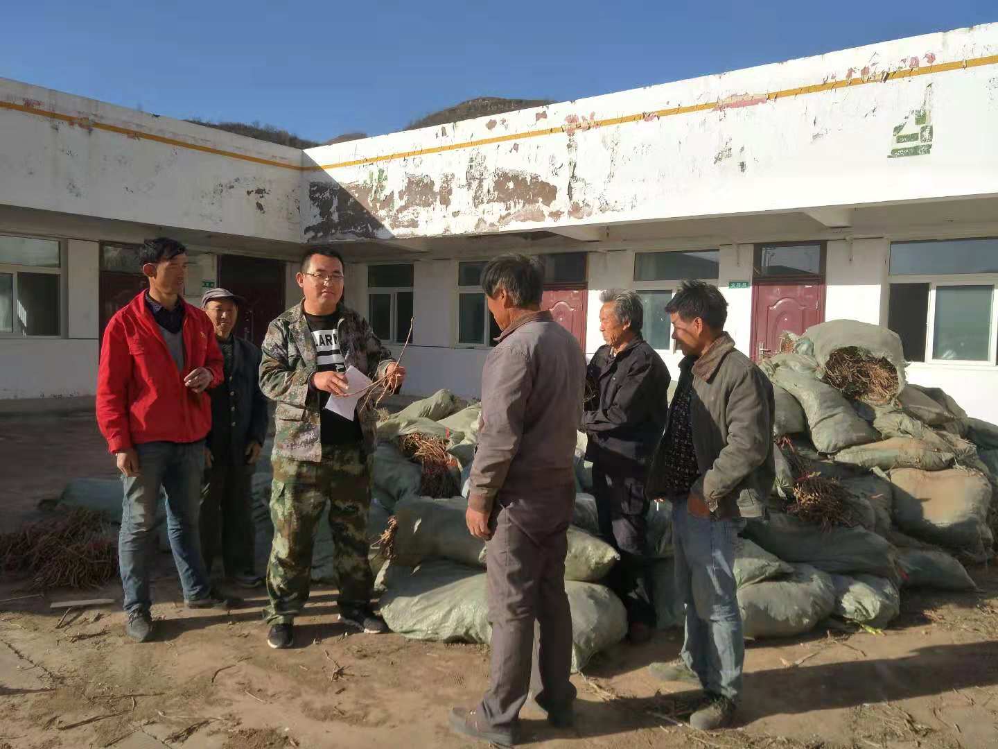 致富经养野蜜蜂_蜜蜂养殖挣钱吗_蜜蜂养殖致富