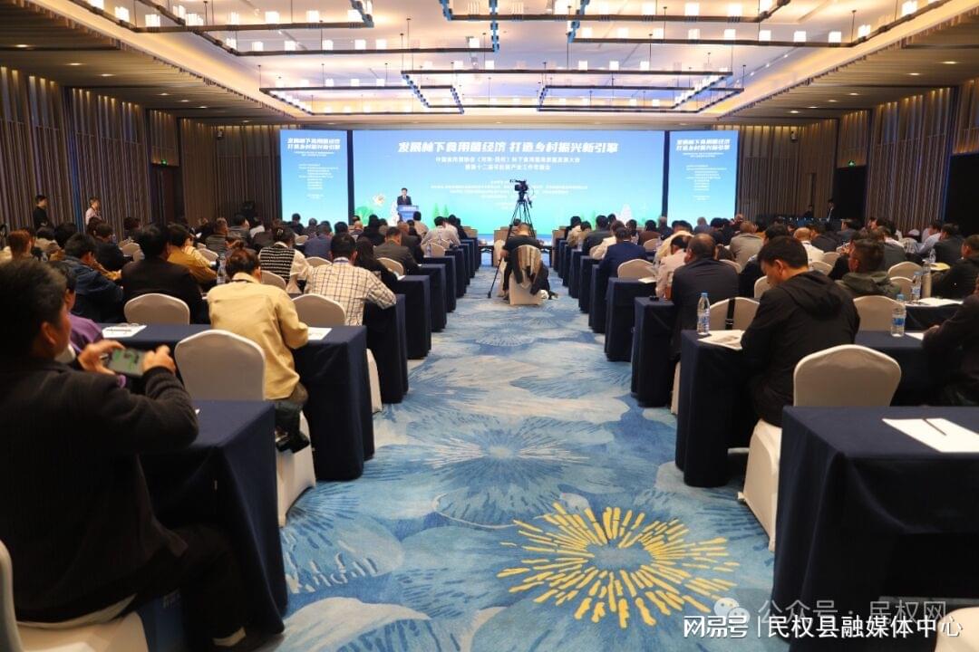 发展林下食用菌经济打造乡村振兴新引擎