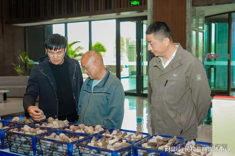 菌类种植利润空间多大_林下菌种植致富_致富经菌菇种植