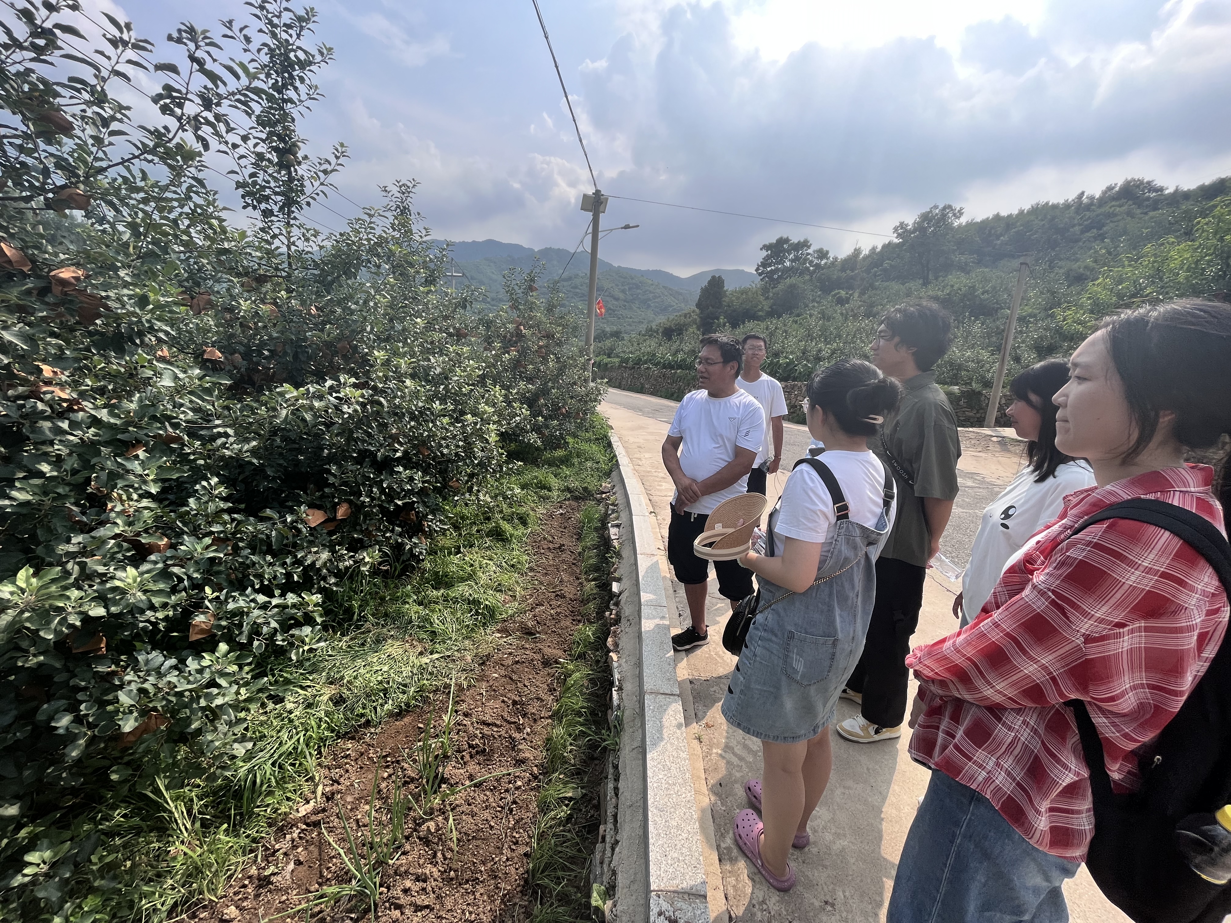 种植苹果致富的人_种植苹果致富_致富种植苹果视频