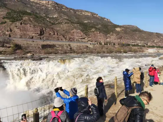 种植苹果致富_致富种植苹果图片_种植苹果赚钱吗