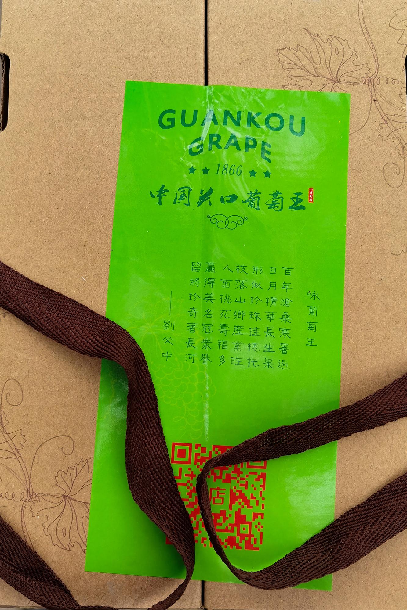 致富经葡萄_致富经种葡萄全视频_2014年致富经之葡萄