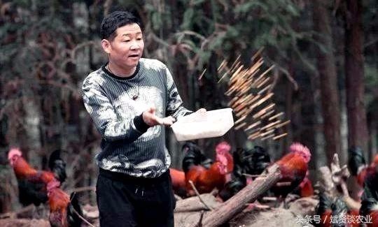 隐退娱乐圈多年 三德子赵亮成养鸡大户