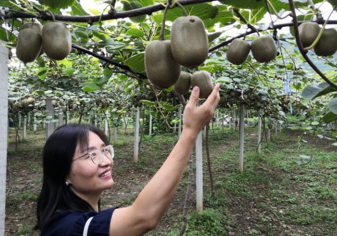 致富信息种植_致富种植视频全集_种植致富业