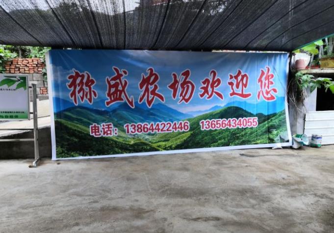 种植致富业_致富信息种植_致富种植视频全集