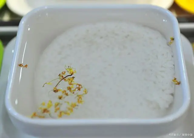 食用金雀花苗_食用金雀花种植技术_金雀花栽培技术