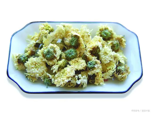 食用金雀花种植技术_食用金雀花苗_金雀花栽培技术