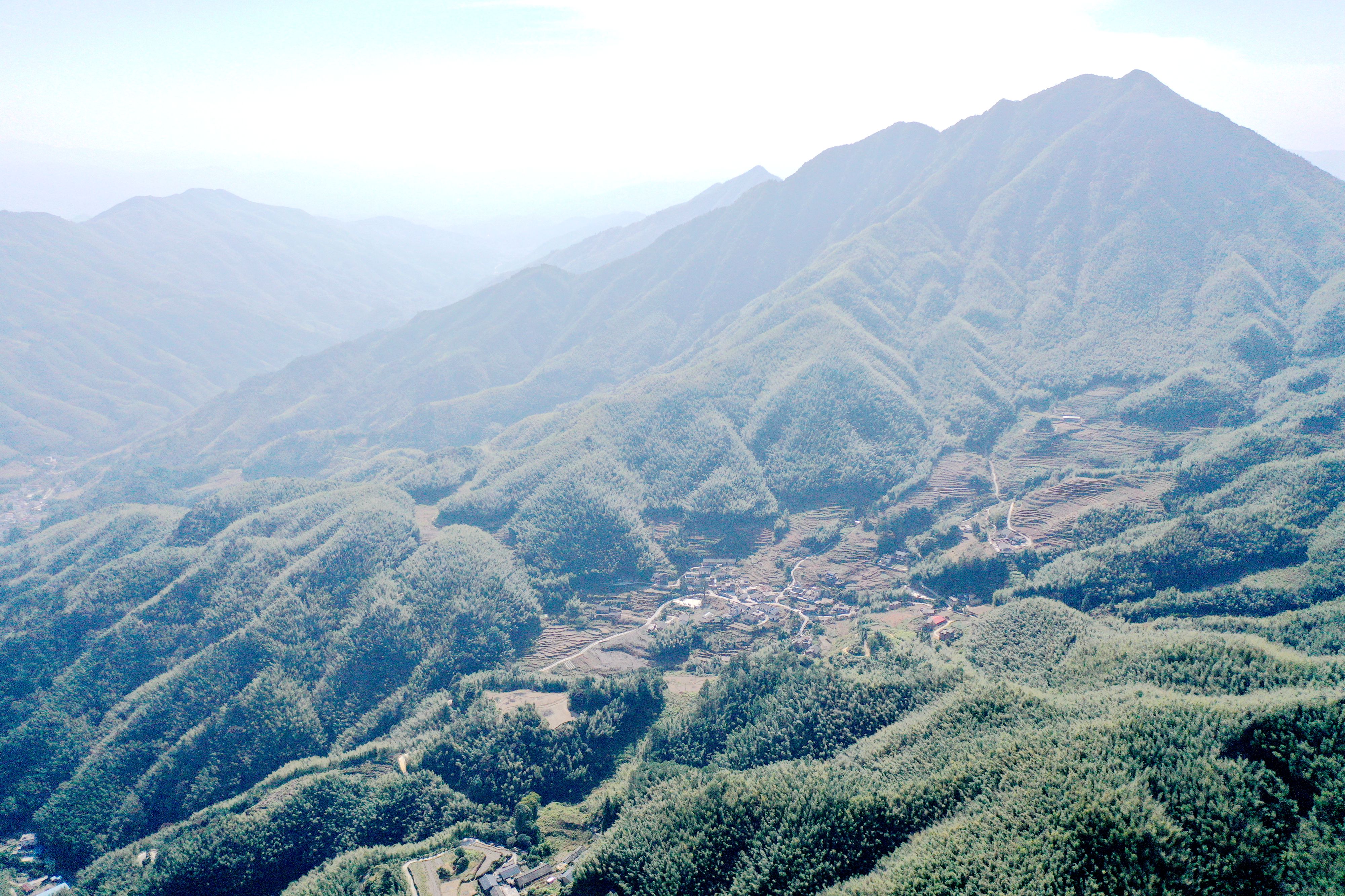 DJI_0650_副本.jpg