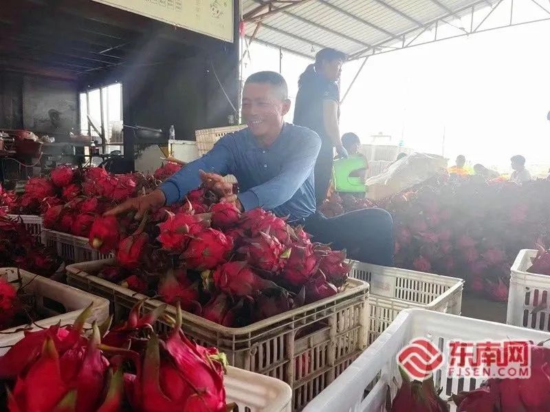 致富馒头种植项目介绍_致富经馒头_馒头种植致富项目
