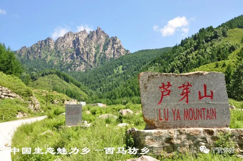 馒头种植致富项目_致富经馒头_致富馒头种植项目有哪些