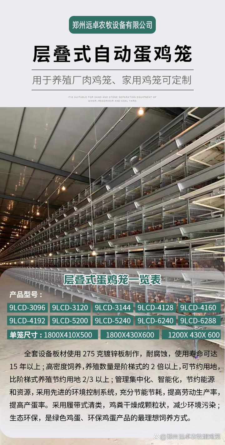 视频山地养殖鸡技术教程_山地鸡养殖技术视频_视频山地养殖鸡技术大全