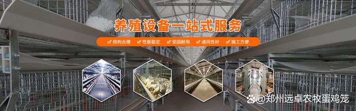 视频山地养殖鸡技术大全_视频山地养殖鸡技术教程_山地鸡养殖技术视频