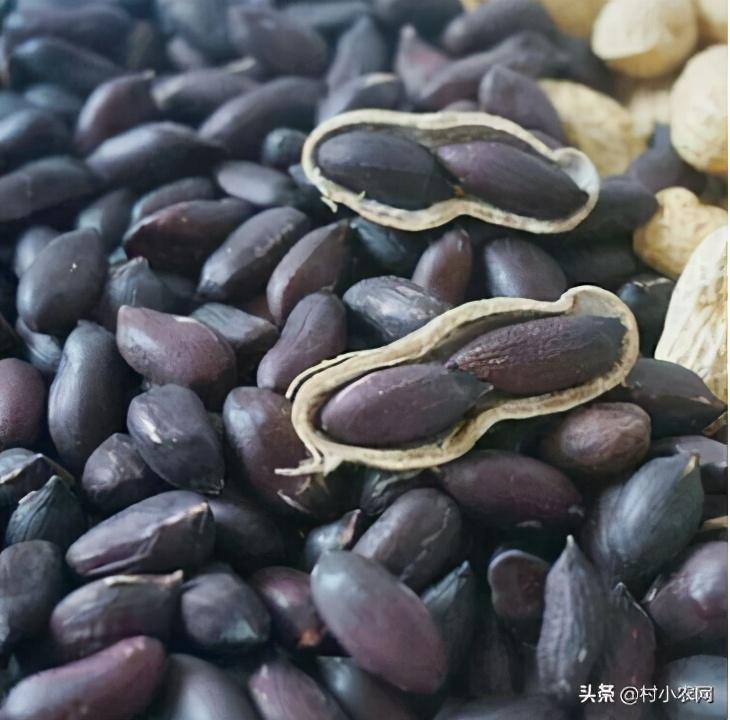 致富年表_致富年华_2021年致富经