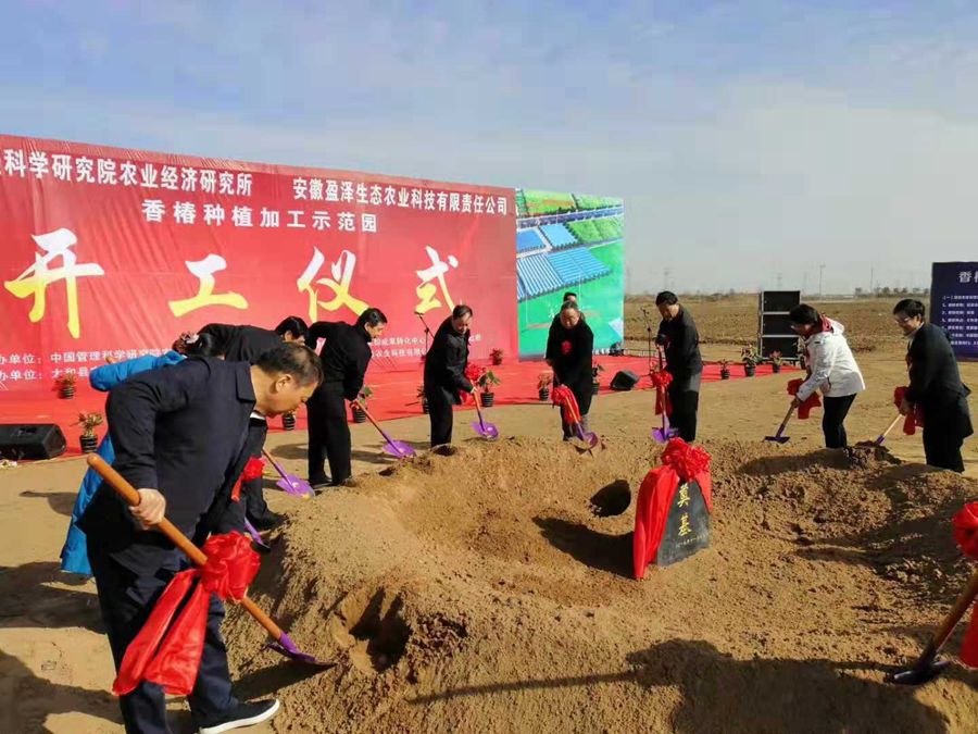 奠基培土