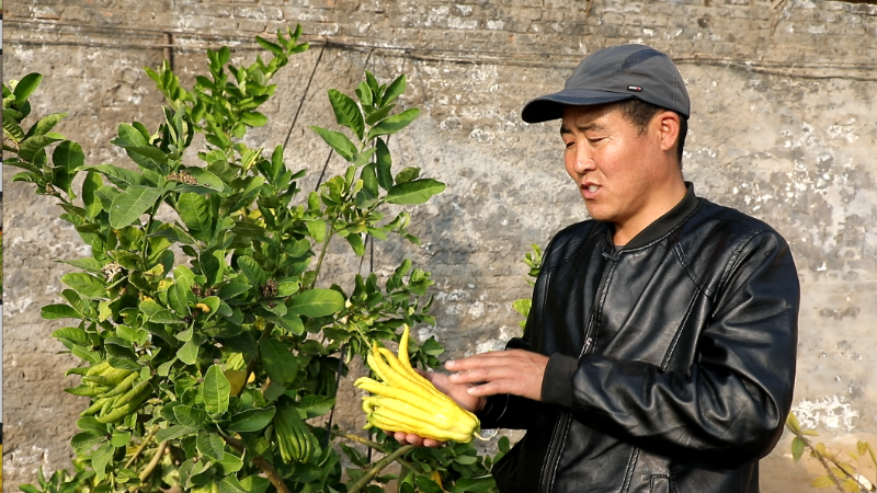 微信图片_20201201083032