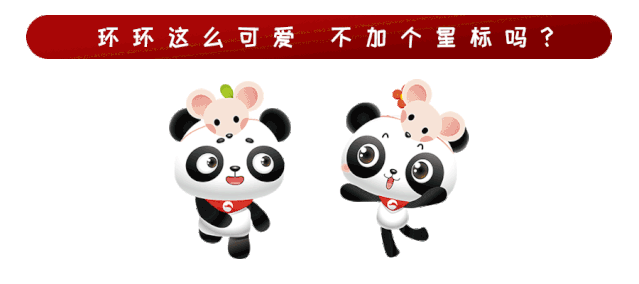 养殖果子狸技术_致富经果子狸养殖_养果子狸的成本和利润