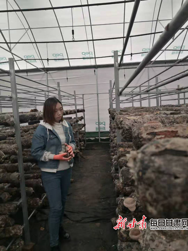 香菇种植合作社公司简介_香菇种植专业合作社简介_合作社种植香菇脱贫致富