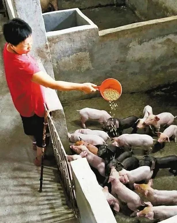 重庆养殖致富_重庆养殖业什么最赚钱农村_重庆养殖大户
