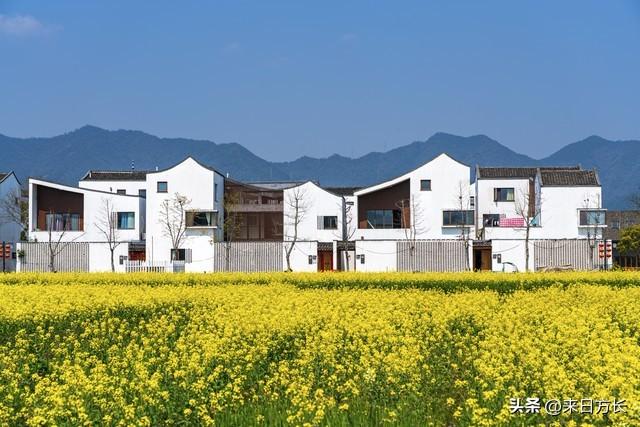 致富养殖什么最赚钱_养殖致富经_60岁养殖致富秘诀