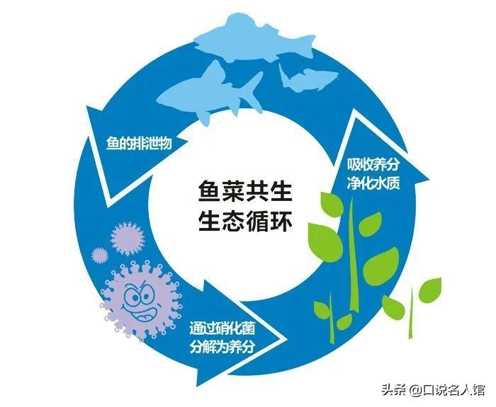 如何养殖致富_致富养殖什么最赚钱_60岁养殖致富秘诀