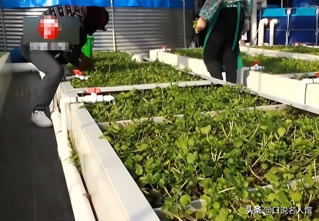 致富养殖什么最赚钱_如何养殖致富_60岁养殖致富秘诀